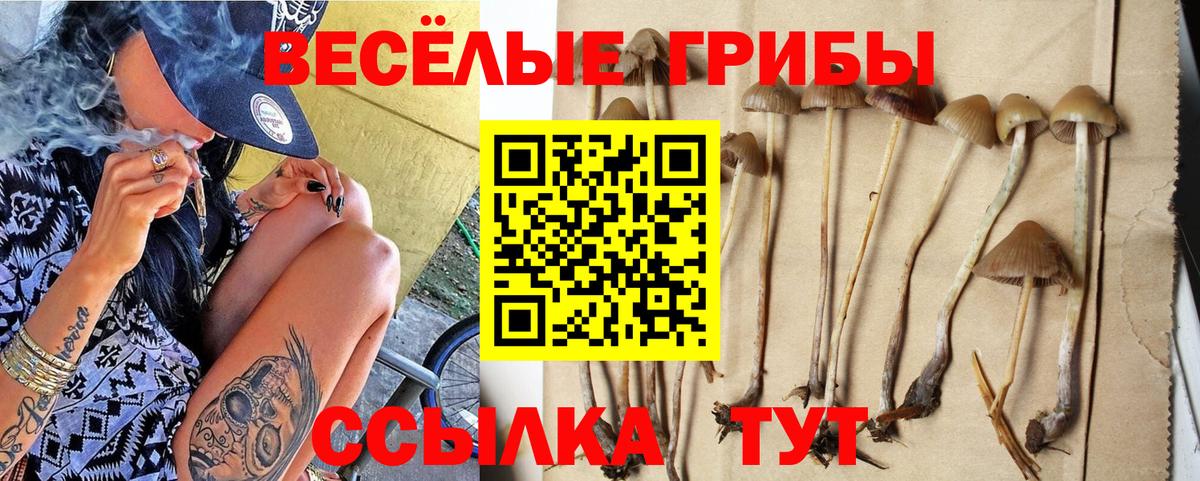 Галлюциногенные грибы MAGIC MUSHROOMS  Вход с VPN  где можно купить наркотик  Новочебоксарск 